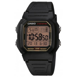 Мужские часы CASIO W-800HG-9AVDF